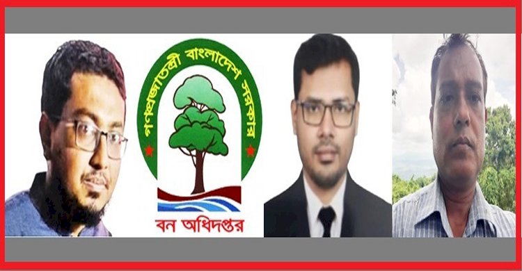 ৩৮তম বিসিএস-এর এসিএফ মাসুদের অতিরিক্ত লোভ ও সিন্ডিকেটে ধ্বংসের মুখে লামার বনাঞ্চল