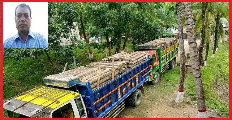 লামা রূপসীপাড়া ক্যাম্পের সেনাবাহিনীর অভিযানে কাঠবোঝাই ২ ট্রাক জব্দ ॥ কোটি টাকার বনভূমি ধ্বংসের নেপথ্যে শক্তিশালী সিন্ডিকেট