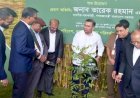জাতীয় বৃক্ষরোপণ অভিযান ও বৃক্ষমেলা উদ্বোধন করলেন প্রধানমন্ত্রী