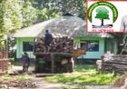 রেঞ্জ কর্মকর্তা কবিরের নতুন টিপিতে পদুয়ায় অবৈধ কাঠসহ ট্রাক আটক