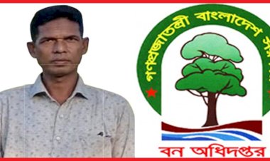 করেরহাট বিট কাম চেকস্টেশনে প্রকাশ্য চাঁদাবাজি ও গাছ পাচারের মহোৎসব: অদৃশ্য কারণে ডিএফও ও এসিএফ-এর নীরবতা পালন