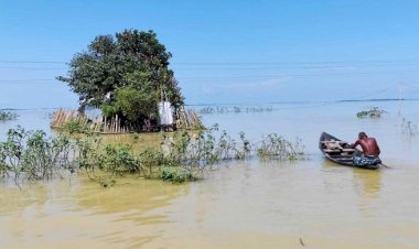 ঋতুচক্রের অস্থিরতায় খাদ্য উৎপাদনে বাড়ছে অনিশ্চয়তা