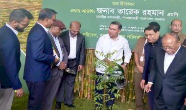 জাতীয় বৃক্ষরোপণ অভিযান ও বৃক্ষমেলা উদ্বোধন করলেন প্রধানমন্ত্রী