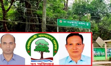 বদলি আদেশ গায়েব করে এক যুগ ধরে সিএফ কার্যালয়ে হিসাবরক্ষক ইউছুপ: ৯ ডিভিশন থেকে মাসোহারা ও কোটি টাকার বদলি বাণিজ্যের চাঞ্চল্যকর তথ্য