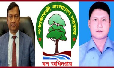 টেবিল জোতে সাবাড় খাগড়াছড়িরর পানছড়ি রেঞ্জের বন, রেঞ্জ কর্মকর্তা উহ্লামং মারমার দুর্নীতির রাজত্ব, নীরব দর্শক ডিএফও ফরিদ মিয়া 