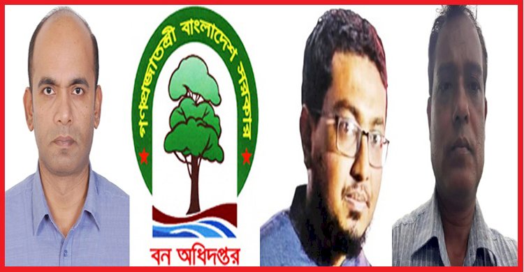 কোটি কোটি টাকা লোপাট ও জাদুকরী টিপি জালিয়াতির পরও ধরাছোঁয়ার বাইরে লামার ‘বনখেকো’ রেঞ্জার কবির