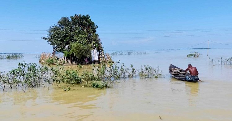 ঋতুচক্রের অস্থিরতায় খাদ্য উৎপাদনে বাড়ছে অনিশ্চয়তা