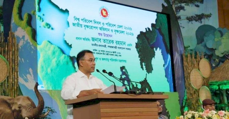 ডুলাহাজারায় সরকারি হিসাবে ৭ লাখ দেখালেও গাছ লাগানো হয়েছে ২ লাখ: প্রধানমন্ত্রী