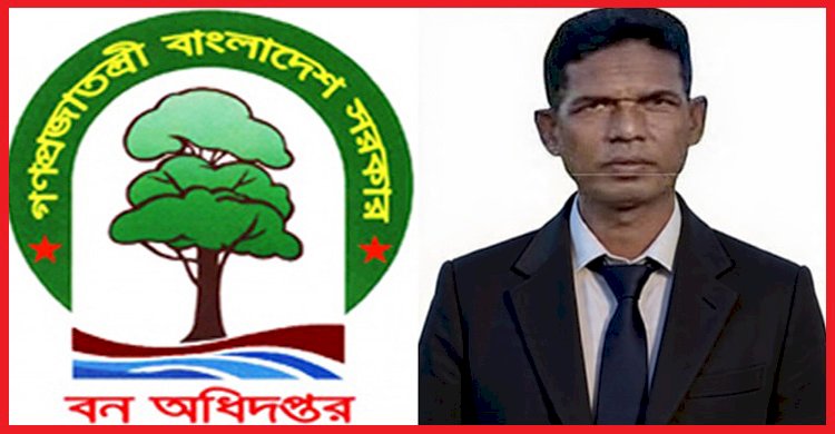 চট্টগ্রাম উত্তর বন বিভাগের করেরহাটে বন্ধ হচ্ছে না আলাল উদ্দিনের চাঁদাবাজি ও বালু মহলের দৌরাত্ম্য