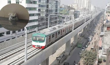 মিরপুর-১০ মেট্রো স্টেশনে পাওয়া ব্যাগে জর্দার কৌটা ও পান ছিল: ডিএমপি