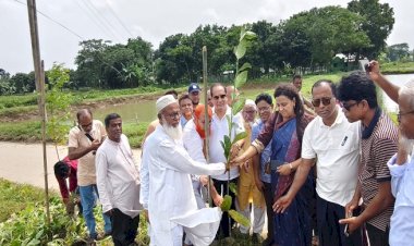  কেন্দুয়ায় দুই কিলোমিটার সড়কে বৃক্ষরোপণ কর্মসূচির উদ্বোধন