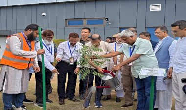মাতারবাড়ি মেগা প্রকল্প পরিদর্শনে প্রধানমন্ত্রী, রোপণ করলেন গাছের চারা