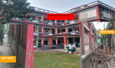 নান্দাইলের দিলালপুর উচ্চ বিদ্যালয়ে চলছে হরিলুট ॥ দেখার কেউ নেই