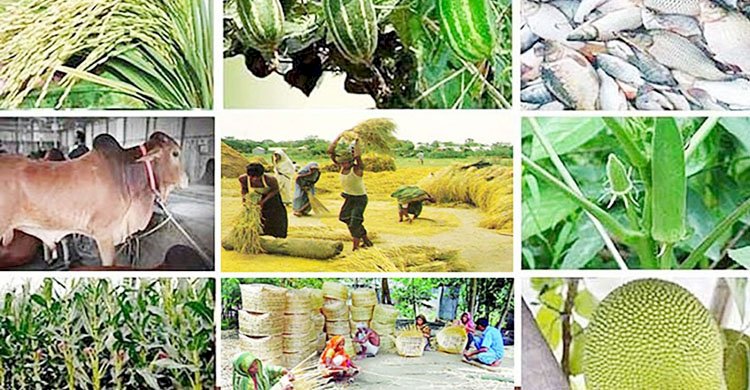 বাংলাদেশে খাদ্য হিসেবে খামারের প্রাণী ব্যবহারের নৈতিকতা নতুন করে ভাবার সময় এসেছে