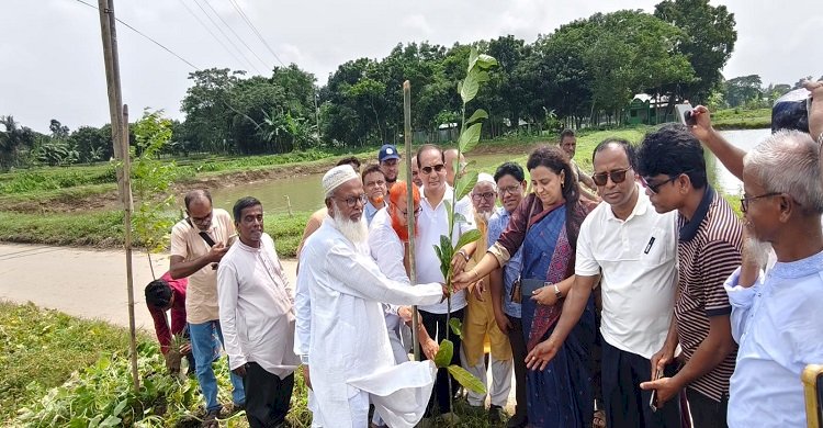 কেন্দুয়ায় দুই কিলোমিটার সড়কে বৃক্ষরোপণ কর্মসূচির উদ্বোধন