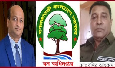 সংরক্ষিত বনাঞ্চল গিলে খাওয়া বশির এখন সুয়ালকে: ক্ষোভে ফুঁসছে বান্দরবান বন বিভাগ