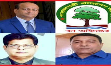 বান্দরবান বন বিভাগে বিতর্কিত বদলি ও ‘কুমিল্লা সিন্ডিকেট’র রাজত্ব: ৭ লাখ টাকার ঘুষে সুয়ালক চেক স্টেশন দখল, কাঠ পাচারের রমরমা বাণিজ্য