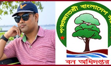ভাওয়ালে বনের জমিতে কারখানা, প্রাণীর খাবারেও ভাগ: ডেপুটি রেঞ্জার মাসুদ রানার বিরুদ্ধে দুর্নীতির পাহাড়