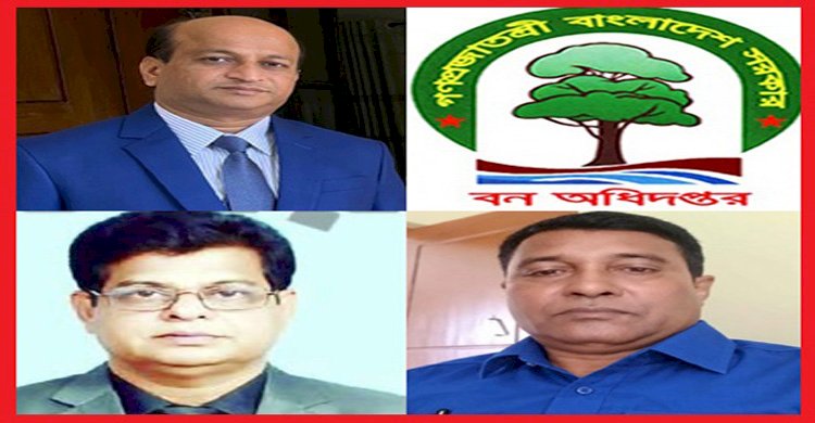 বান্দরবান বন বিভাগে বিতর্কিত বদলি ও ‘কুমিল্লা সিন্ডিকেট’র রাজত্ব: ৭ লাখ টাকার ঘুষে সুয়ালক চেক স্টেশন দখল, কাঠ পাচারের রমরমা বাণিজ্য