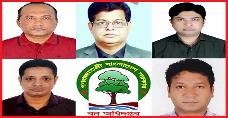 বন কর্মকর্তাদের সিন্ডিকেটে ঢাকা পৌঁছাল অবৈধ কাঠের ট্রাক: ভাগ পাওয়ার অভিযোগ খোদ ডিএফওর বিরুদ্ধেও